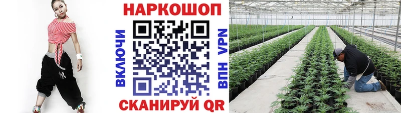 Где продают наркотики Кондопога ГАШИШ Меф