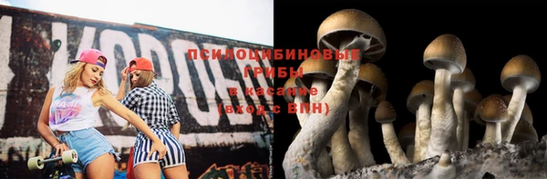 хмурый Нягань