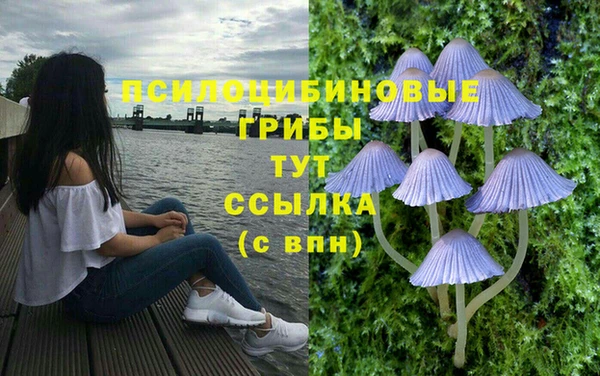 каннабис Няндома
