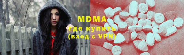 индика Новозыбков