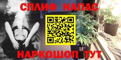 прущие грибы Абакан