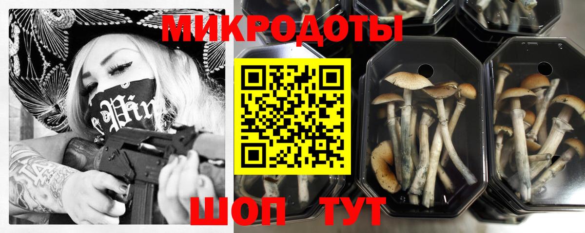 Псилоцибиновые грибы MAGIC MUSHROOMS Кондопога