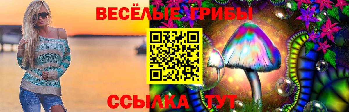 Кондопога  Галлюциногенные грибы Magic Shrooms  Вход с VPN 
