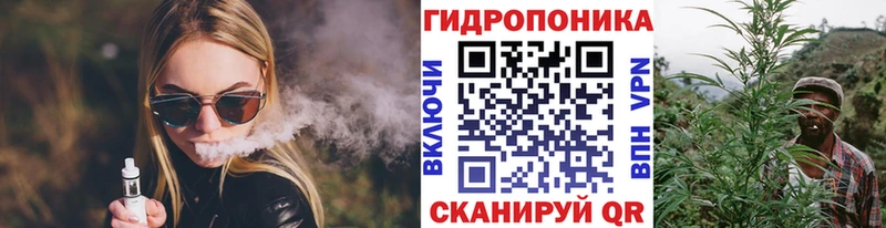 Каннабис SATIVA & INDICA  маркетплейс какой сайт  Кондопога 