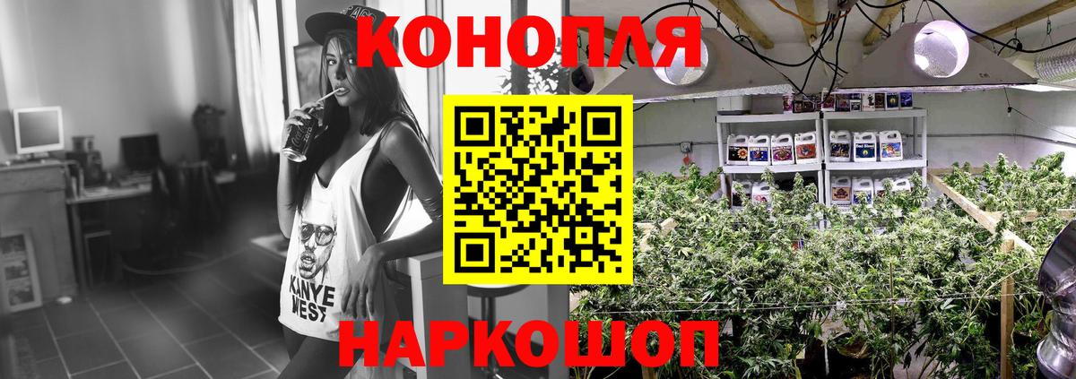 Каннабис OG Kush  Бошки марихуана тримм  Кондопога  Вход с VPN  Марихуана White Widow 